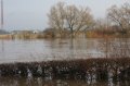 Hochwasser Seligenstadt 18.01.2011 008